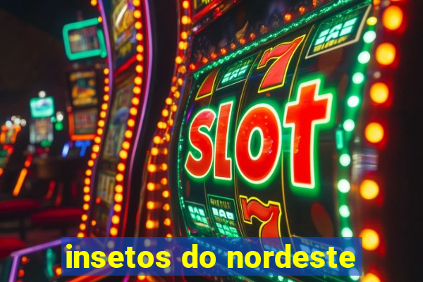 insetos do nordeste